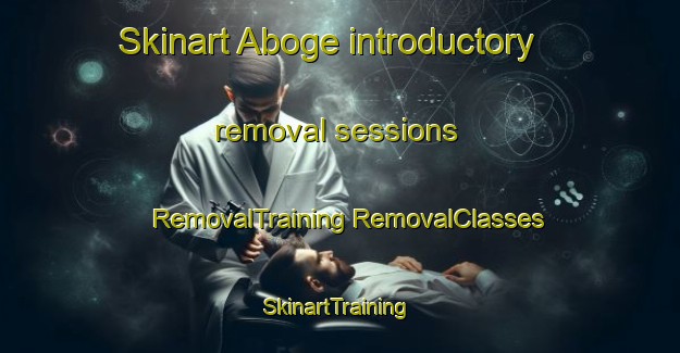 Skinart Aboge introductory removal sessions | #RemovalTraining #RemovalClasses #SkinartTraining-Indonesia