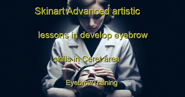 Skinart Advanced artistic lessons in develop eyebrow skills in Ceret area | EyebrowTraining | EyebrowClasses | SkinartTraining-Indonesia
