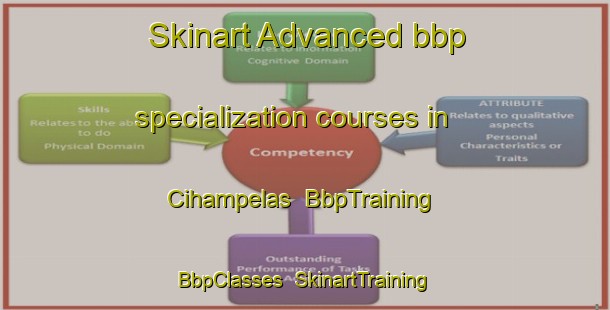 Skinart Advanced bbp specialization courses in Cihampelas | BbpTraining | BbpClasses | SkinartTraining-Indonesia