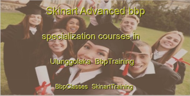 Skinart Advanced bbp specialization courses in Ulunggolaka | BbpTraining | BbpClasses | SkinartTraining-Indonesia