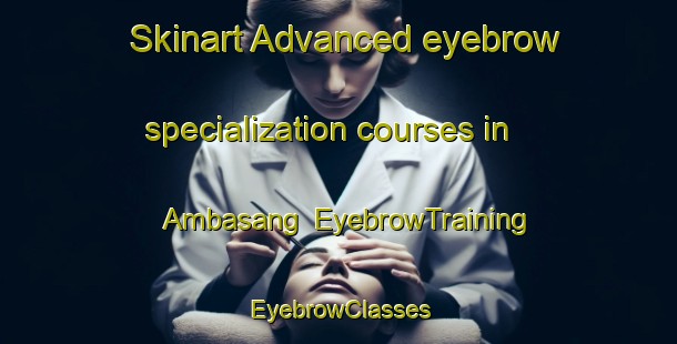 Skinart Advanced eyebrow specialization courses in Ambasang | EyebrowTraining | EyebrowClasses | SkinartTraining-Indonesia