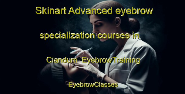 Skinart Advanced eyebrow specialization courses in Ciandum | EyebrowTraining | EyebrowClasses | SkinartTraining-Indonesia
