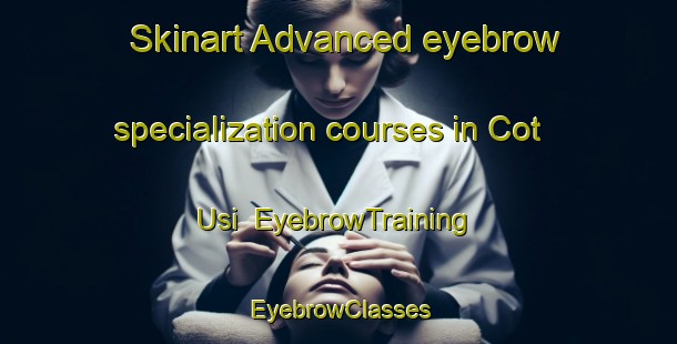 Skinart Advanced eyebrow specialization courses in Cot Usi | EyebrowTraining | EyebrowClasses | SkinartTraining-Indonesia