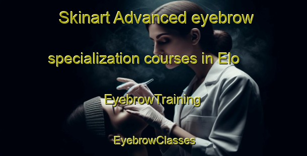 Skinart Advanced eyebrow specialization courses in Elo | EyebrowTraining | EyebrowClasses | SkinartTraining-Indonesia