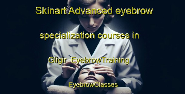 Skinart Advanced eyebrow specialization courses in Gligir | EyebrowTraining | EyebrowClasses | SkinartTraining-Indonesia