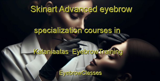 Skinart Advanced eyebrow specialization courses in Kataniaatas | EyebrowTraining | EyebrowClasses | SkinartTraining-Indonesia