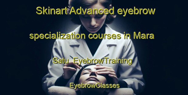 Skinart Advanced eyebrow specialization courses in Mara Satu | EyebrowTraining | EyebrowClasses | SkinartTraining-Indonesia