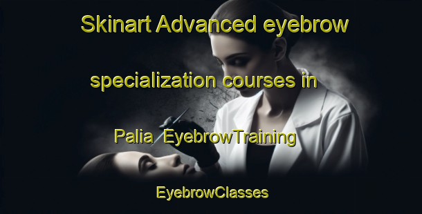 Skinart Advanced eyebrow specialization courses in Palia | EyebrowTraining | EyebrowClasses | SkinartTraining-Indonesia