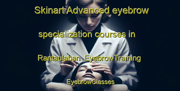 Skinart Advanced eyebrow specialization courses in Rantaulaban | EyebrowTraining | EyebrowClasses | SkinartTraining-Indonesia