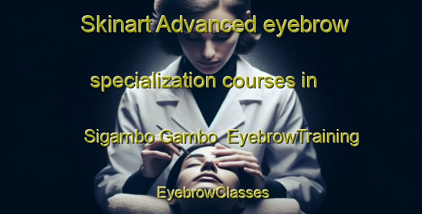 Skinart Advanced eyebrow specialization courses in Sigambo Gambo | EyebrowTraining | EyebrowClasses | SkinartTraining-Indonesia