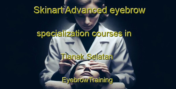 Skinart Advanced eyebrow specialization courses in Tlanak Selatan | EyebrowTraining | EyebrowClasses | SkinartTraining-Indonesia