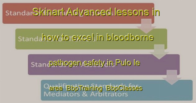 Skinart Advanced lessons in how to excel in bloodborne pathogen safety in Pulo Ie area | BbpTraining | BbpClasses | SkinartTraining-Indonesia