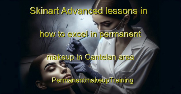 Skinart Advanced lessons in how to excel in permanent makeup in Cantelan area | PermanentmakeupTraining | PermanentmakeupClasses | SkinartTraining-Indonesia