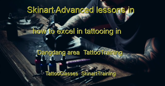 Skinart Advanced lessons in how to excel in tattooing in Dangdang area | TattooTraining | TattooClasses | SkinartTraining-Indonesia