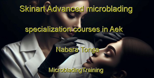 Skinart Advanced microblading specialization courses in Aek Nabara Tonga | #MicrobladingTraining #MicrobladingClasses #SkinartTraining-Indonesia