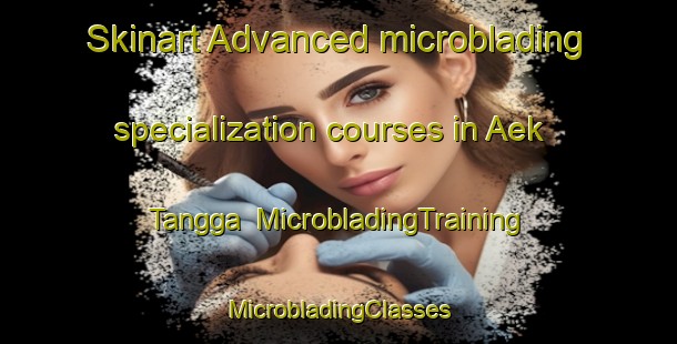 Skinart Advanced microblading specialization courses in Aek Tangga | #MicrobladingTraining #MicrobladingClasses #SkinartTraining-Indonesia