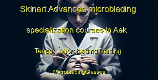 Skinart Advanced microblading specialization courses in Aek Tangga | #MicrobladingTraining #MicrobladingClasses #SkinartTraining-Indonesia