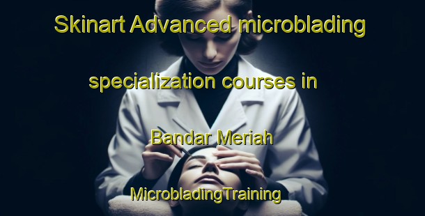 Skinart Advanced microblading specialization courses in Bandar Meriah | MicrobladingTraining | MicrobladingClasses | SkinartTraining-Indonesia