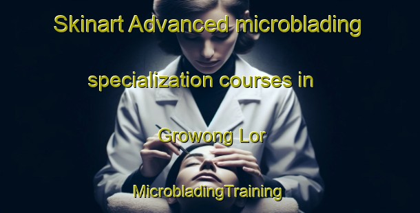 Skinart Advanced microblading specialization courses in Growong Lor | #MicrobladingTraining #MicrobladingClasses #SkinartTraining-Indonesia