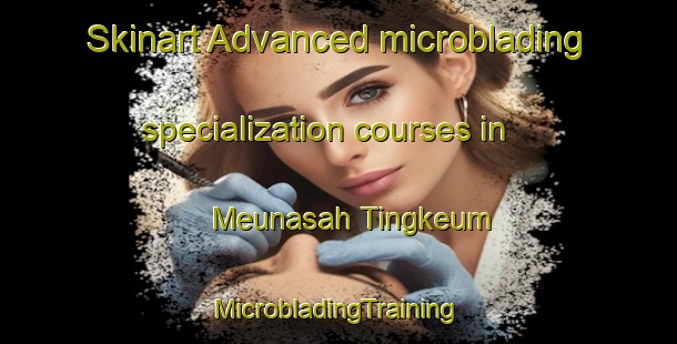 Skinart Advanced microblading specialization courses in Meunasah Tingkeum | #MicrobladingTraining #MicrobladingClasses #SkinartTraining-Indonesia