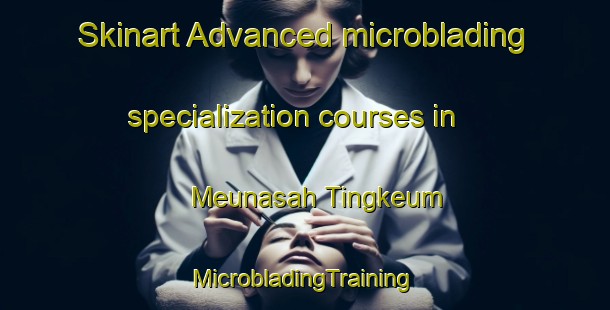 Skinart Advanced microblading specialization courses in Meunasah Tingkeum | #MicrobladingTraining #MicrobladingClasses #SkinartTraining-Indonesia