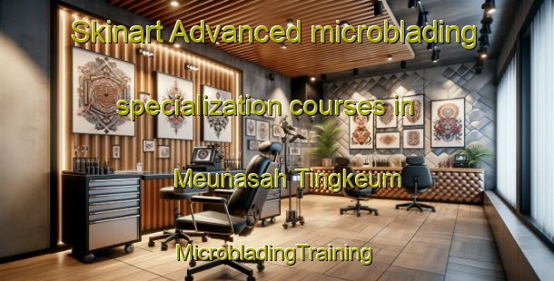 Skinart Advanced microblading specialization courses in Meunasah Tingkeum | #MicrobladingTraining #MicrobladingClasses #SkinartTraining-Indonesia