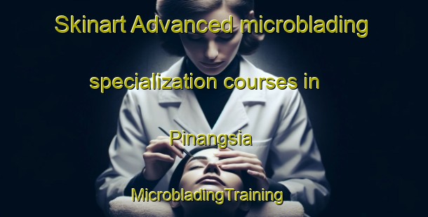 Skinart Advanced microblading specialization courses in Pinangsia | MicrobladingTraining | MicrobladingClasses | SkinartTraining-Indonesia