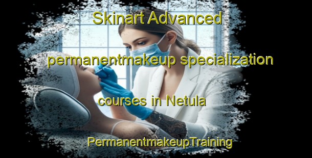 Skinart Advanced permanentmakeup specialization courses in Netula | PermanentmakeupTraining | PermanentmakeupClasses | SkinartTraining-Indonesia