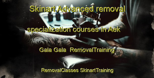 Skinart Advanced removal specialization courses in Aek Gala Gala | #RemovalTraining #RemovalClasses #SkinartTraining-Indonesia