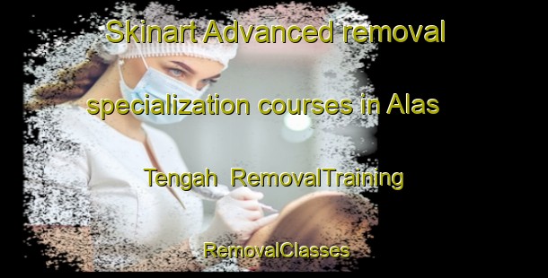 Skinart Advanced removal specialization courses in Alas Tengah | RemovalTraining | RemovalClasses | SkinartTraining-Indonesia