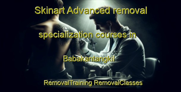 Skinart Advanced removal specialization courses in Babakantangkil | #RemovalTraining #RemovalClasses #SkinartTraining-Indonesia