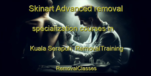 Skinart Advanced removal specialization courses in Kuala Serapuh | RemovalTraining | RemovalClasses | SkinartTraining-Indonesia