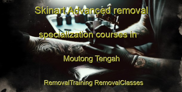 Skinart Advanced removal specialization courses in Moutong Tengah | #RemovalTraining #RemovalClasses #SkinartTraining-Indonesia