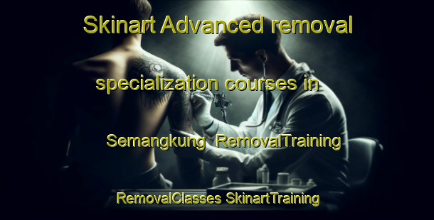 Skinart Advanced removal specialization courses in Semangkung | #RemovalTraining #RemovalClasses #SkinartTraining-Indonesia