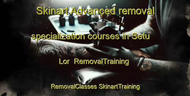 Skinart Advanced removal specialization courses in Setu Lor | #RemovalTraining #RemovalClasses #SkinartTraining-Indonesia