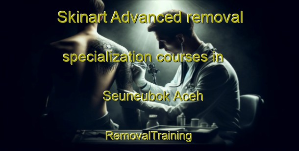 Skinart Advanced removal specialization courses in Seuneubok Aceh | RemovalTraining | RemovalClasses | SkinartTraining-Indonesia