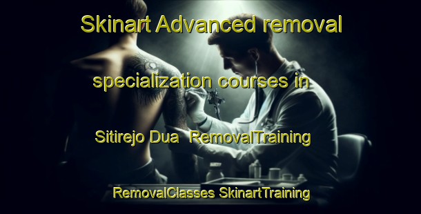 Skinart Advanced removal specialization courses in Sitirejo Dua | #RemovalTraining #RemovalClasses #SkinartTraining-Indonesia