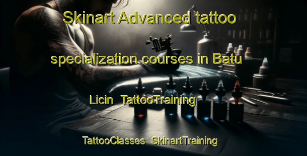 Skinart Advanced tattoo specialization courses in Batu Licin | TattooTraining | TattooClasses | SkinartTraining-Indonesia