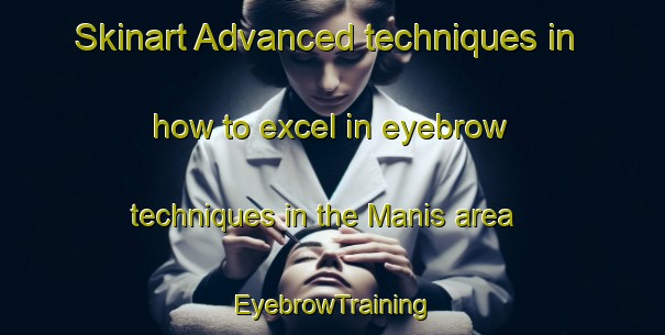 Skinart Advanced techniques in how to excel in eyebrow techniques in the Manis area | EyebrowTraining | EyebrowClasses | SkinartTraining-Indonesia