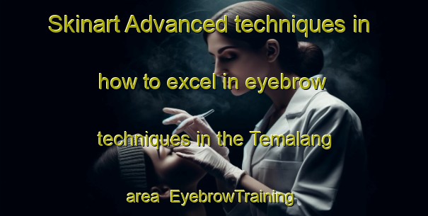 Skinart Advanced techniques in how to excel in eyebrow techniques in the Temalang area | EyebrowTraining | EyebrowClasses | SkinartTraining-Indonesia