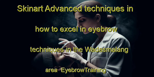 Skinart Advanced techniques in how to excel in eyebrow techniques in the Wadasmalang area | EyebrowTraining | EyebrowClasses | SkinartTraining-Indonesia
