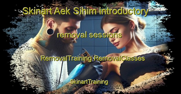 Skinart Aek Sihim introductory removal sessions | #RemovalTraining #RemovalClasses #SkinartTraining-Indonesia