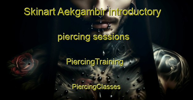 Skinart Aekgambir introductory piercing sessions | #PiercingTraining #PiercingClasses #SkinartTraining-Indonesia