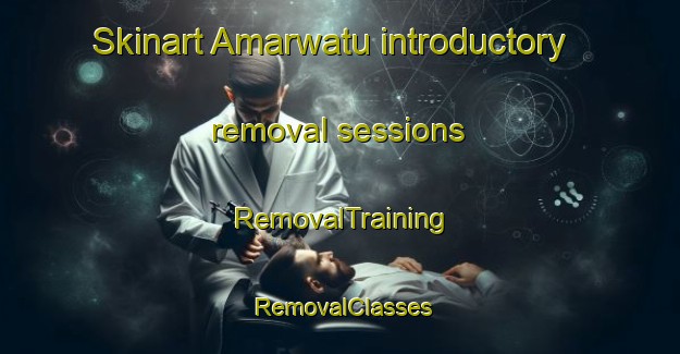 Skinart Amarwatu introductory removal sessions | RemovalTraining | RemovalClasses | SkinartTraining-Indonesia
