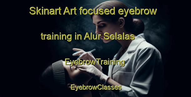 Skinart Art-focused eyebrow training in Alur Selalas | EyebrowTraining | EyebrowClasses | SkinartTraining-Indonesia