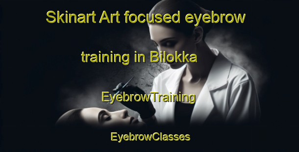 Skinart Art-focused eyebrow training in Bilokka | EyebrowTraining | EyebrowClasses | SkinartTraining-Indonesia