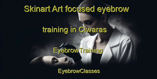Skinart Art-focused eyebrow training in Ciwaras | EyebrowTraining | EyebrowClasses | SkinartTraining-Indonesia