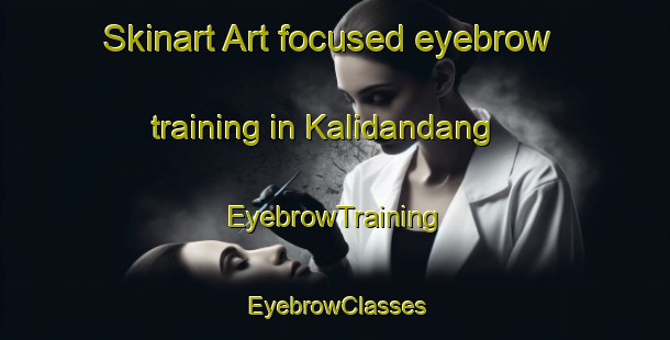 Skinart Art-focused eyebrow training in Kalidandang | EyebrowTraining | EyebrowClasses | SkinartTraining-Indonesia
