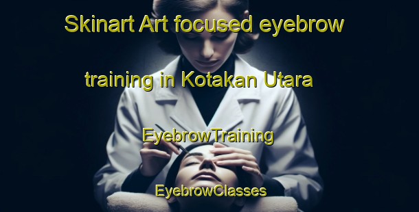 Skinart Art-focused eyebrow training in Kotakan Utara | EyebrowTraining | EyebrowClasses | SkinartTraining-Indonesia