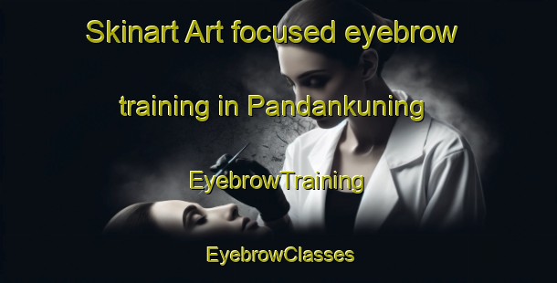 Skinart Art-focused eyebrow training in Pandankuning | EyebrowTraining | EyebrowClasses | SkinartTraining-Indonesia